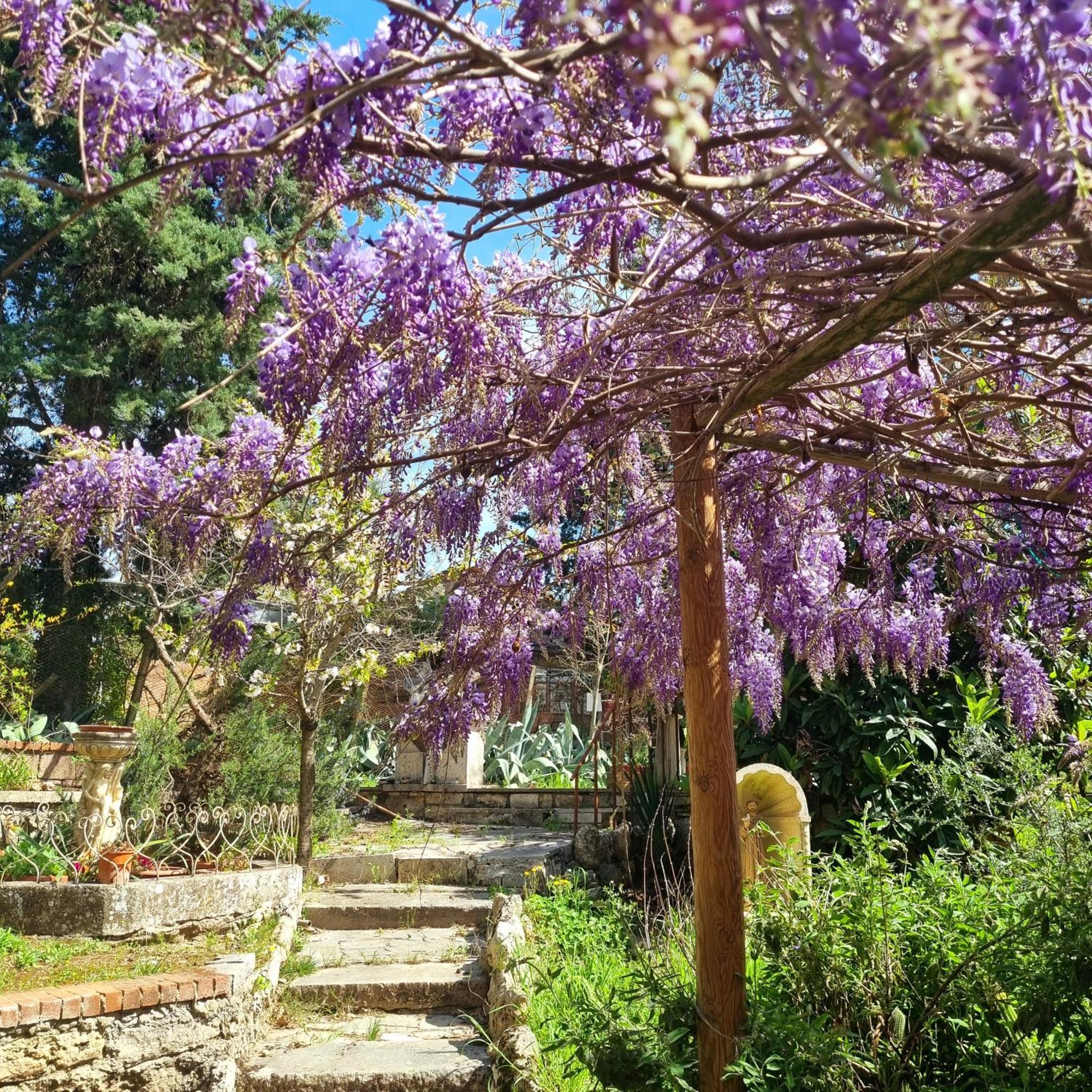 San Francesco Hotell Rapolano Terme Exteriör bild